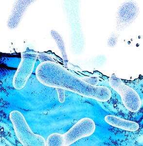 close up of legionella bacteria Blue Earth Products The Science of Safe Water