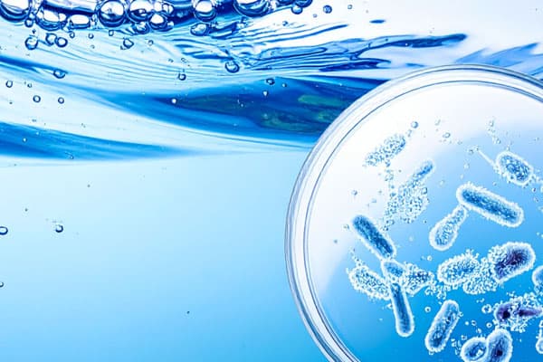 Card Legionella Services image of bacteria in a Petrie dish floating in water Blue Earth Products