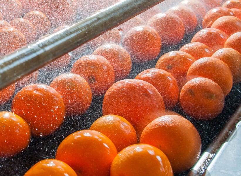 Hero Image Oranges being washed on conveyor belt Blue Earth Products