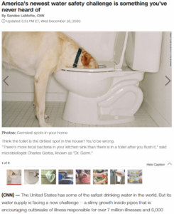image of dog drinking water from toilet-is your water clean Blue Earth Products The Science of Safe Water